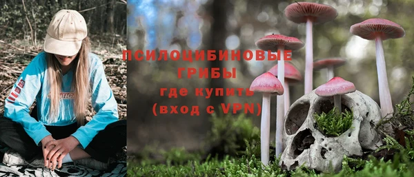 прущая мука Пестово