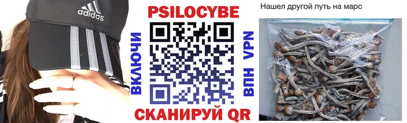 Псилоцибиновые грибы Psilocybe  Харабали 