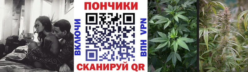 Каннабис ГИДРОПОН  Харабали 